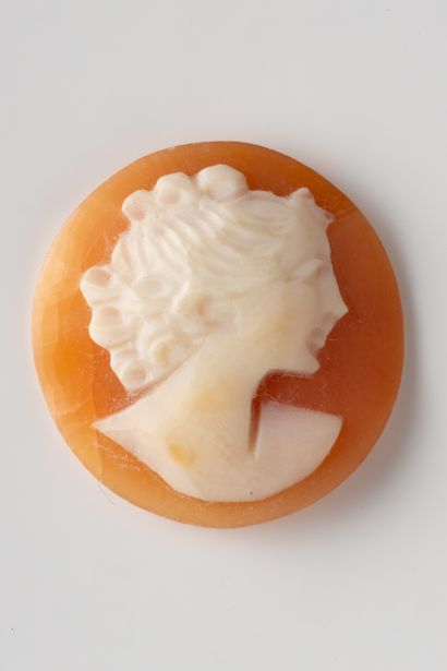Round shell cameo with profile of a woman...