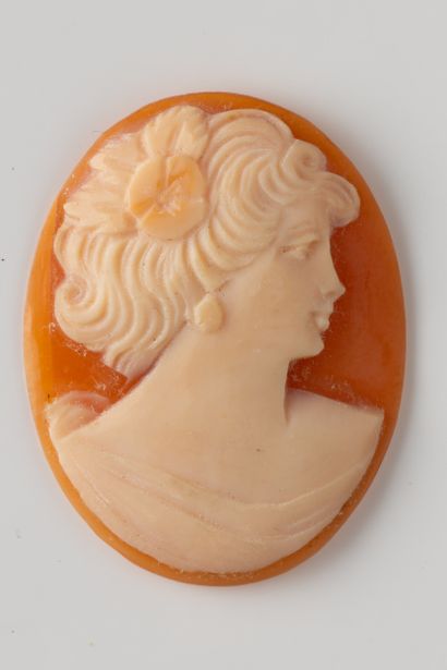Oval shell cameo with profile of a woman...