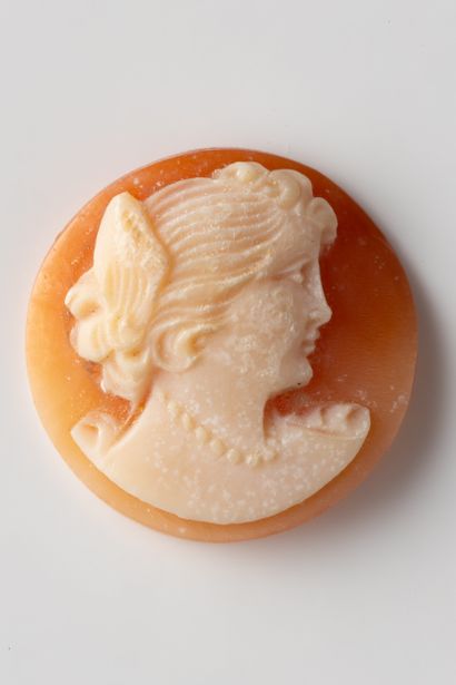 Round shell cameo with profile of a woman...