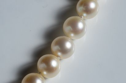 Necklace made of white cultured pearls from...