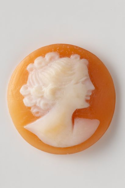 Round shell cameo with profile of a woman...