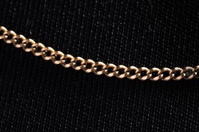 Curb chain in yellow gold (750 thousandths)....