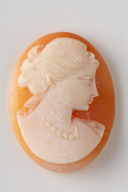 Camée ovale coquillage à profil de femme...