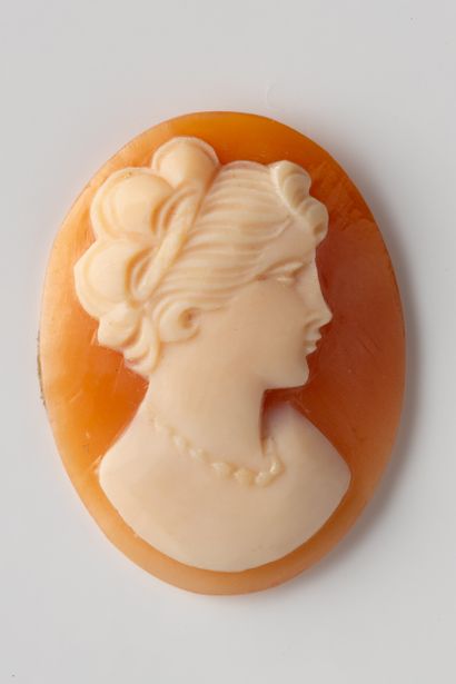 Oval shell cameo with profile of a woman...