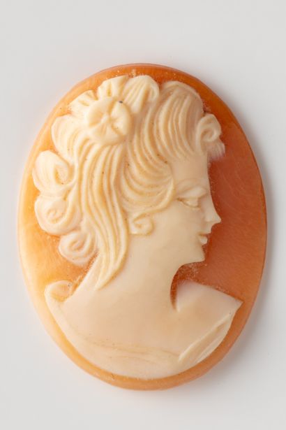 Oval shell cameo with profile of a woman...