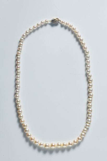 Necklace made of white cultured pearls from...