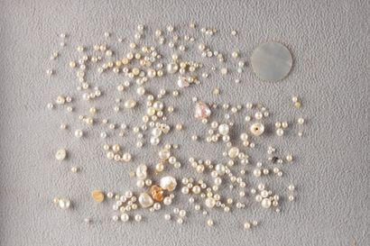 Lot of cultured, baroque and tinted pearls.
Mother-of-pearl...