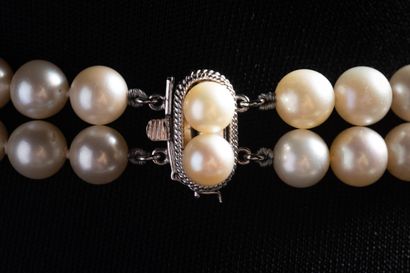 Large double-row shocker necklace with 66...