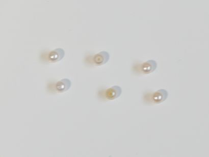 6 white cultured pearls with a piercing hole...