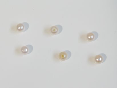 6 white cultured pearls with a piercing hole...