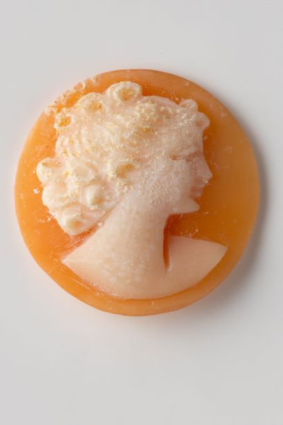 Camée rond coquillage à profil de femme en...
