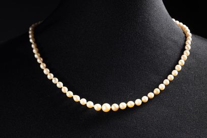 Necklace with 76 white baroque cultured pearls....