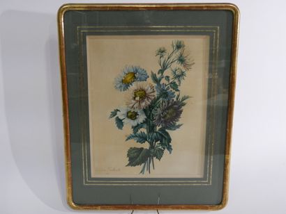 Ernestine PANCKOUCKE (1784-1860).
Bouquet...