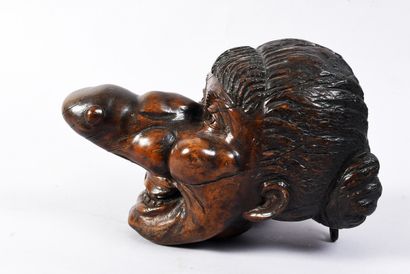 Visage de grotesque femme au nez protubérant
Vallée...
