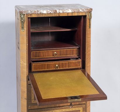 Wood veneer with amaranth frames, opening...