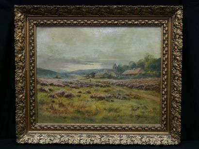 * Cyrpriany F 1905
View of a village
Hst...
