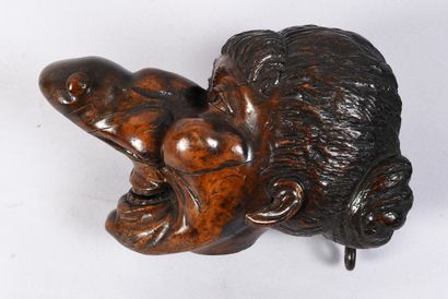 Visage de grotesque femme au nez protubérant
Vallée...