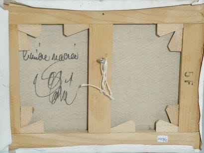 Jean Baptiste VALADIE (born 1933)
Chimère...