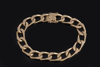 Horse curb chain bracelet in yellow gold...