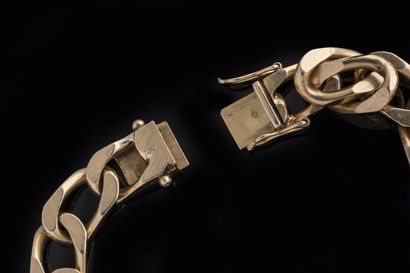 Horse curb chain bracelet in yellow gold...