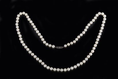 Collier shocker de 82 perles de culture blanches...