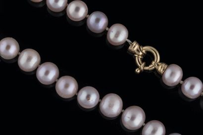 Shocker necklace with 37 large purplish-tinted...