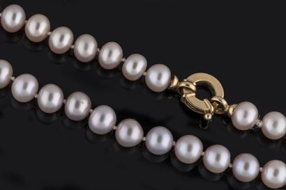 Necklace of 97 pearly and tinted Chinese...