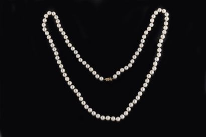 Shocker necklace with 95 white cultured pearls,...