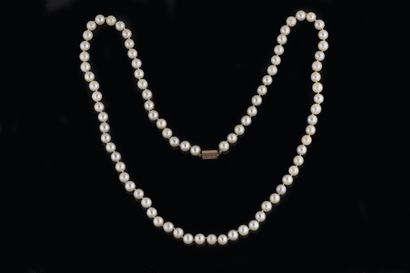Shocker necklace with 83 white cultured pearls,...