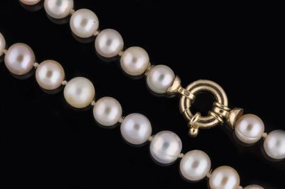 Necklace of 52 tinted mother-of-pearl Chinese...