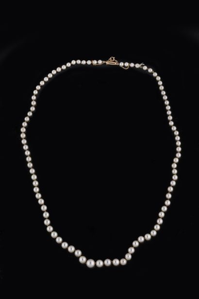 Collier en chute de 90 perles de culture...