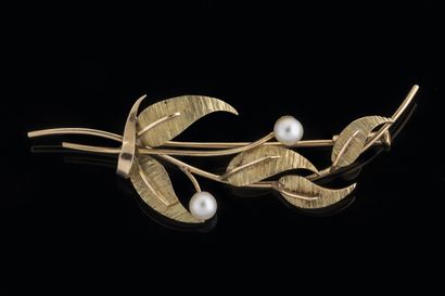 Foliage brooch with amati finish adorned...