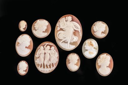 an important lot of cameos:
- Large shell...