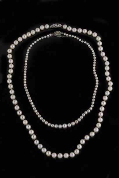 Deux colliers en perles de cultures blanches....