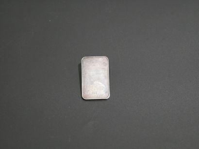 1 silver ingot 25 g
