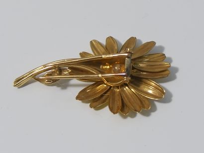 Blooming yellow gold (750 thousandths) 