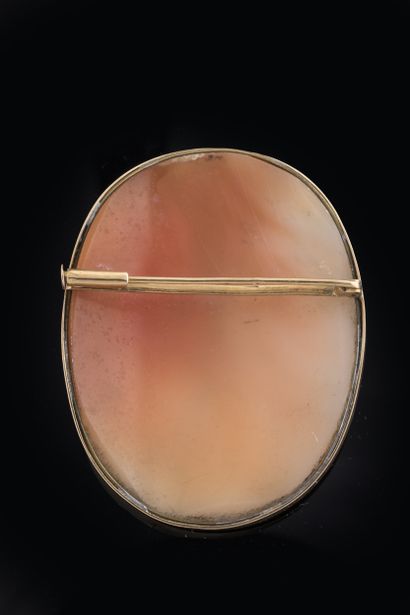 Large oval brooch set with a shell cameo...