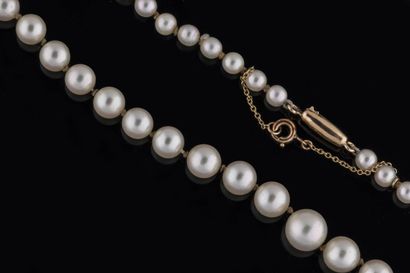 Collier en chute de 90 perles de culture...