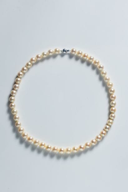 Shocker necklace with 47 large white cultured...