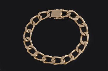 Horse curb chain bracelet in yellow gold...