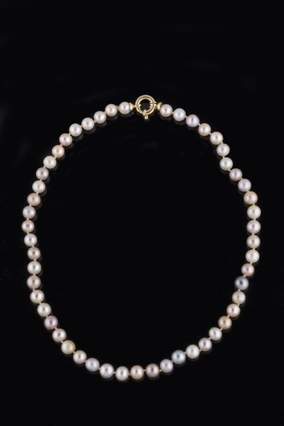 Necklace of 52 tinted mother-of-pearl Chinese...