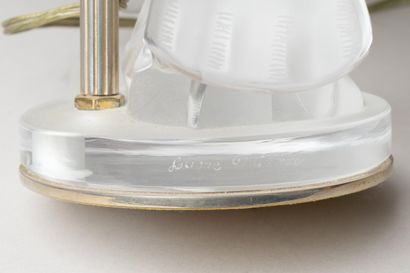 MAISON LALIQUE
Ariane (deux colombes)
Lampe...