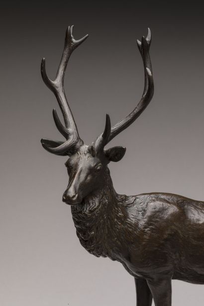 Georges GARDET (1863-1939)
Stag 
Brown patina...