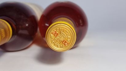 2 B CHATEAU D'YQUEM 2002 C1 Supérieur Sauternes...