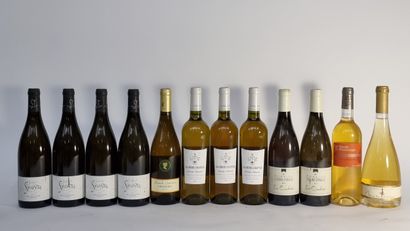 4 B LANGUEDOC Blanc 2014 Domaine Saint-Sylvestre...