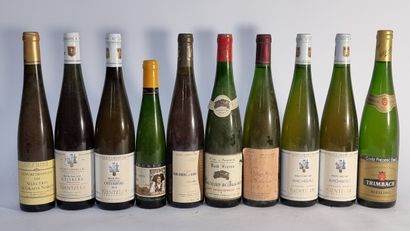10 B VINS D'ALSACE DIV Divers (voir phot...