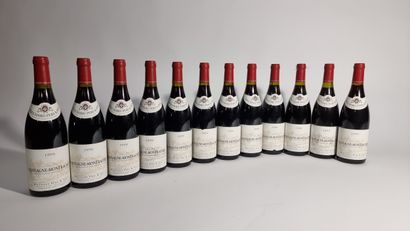 12 B CHASSAGNE-MONTRACHET Rouge 1999 Bouchard...