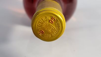 1 Mag CHATEAU D'YQUEM 1995 C1 Supérieur Sauternes...
