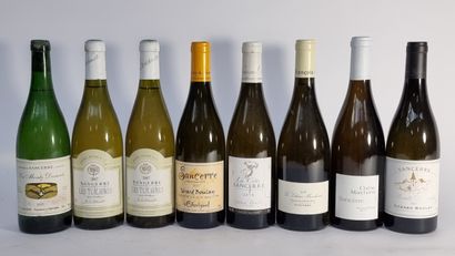 1 B SANCERRE LES MONTS DAMNES 1995 François...