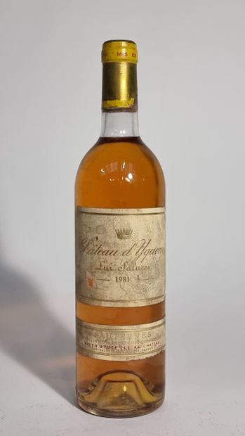 1 B CHATEAU D'YQUEM 1981 C1 Supérieur Sauternes...